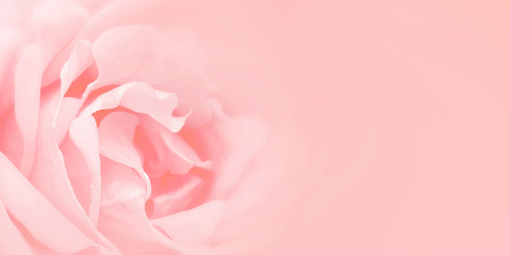 Loss, Grief and Faith