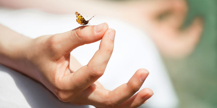 Tone Down Negativity, Shadow Self and Criticism