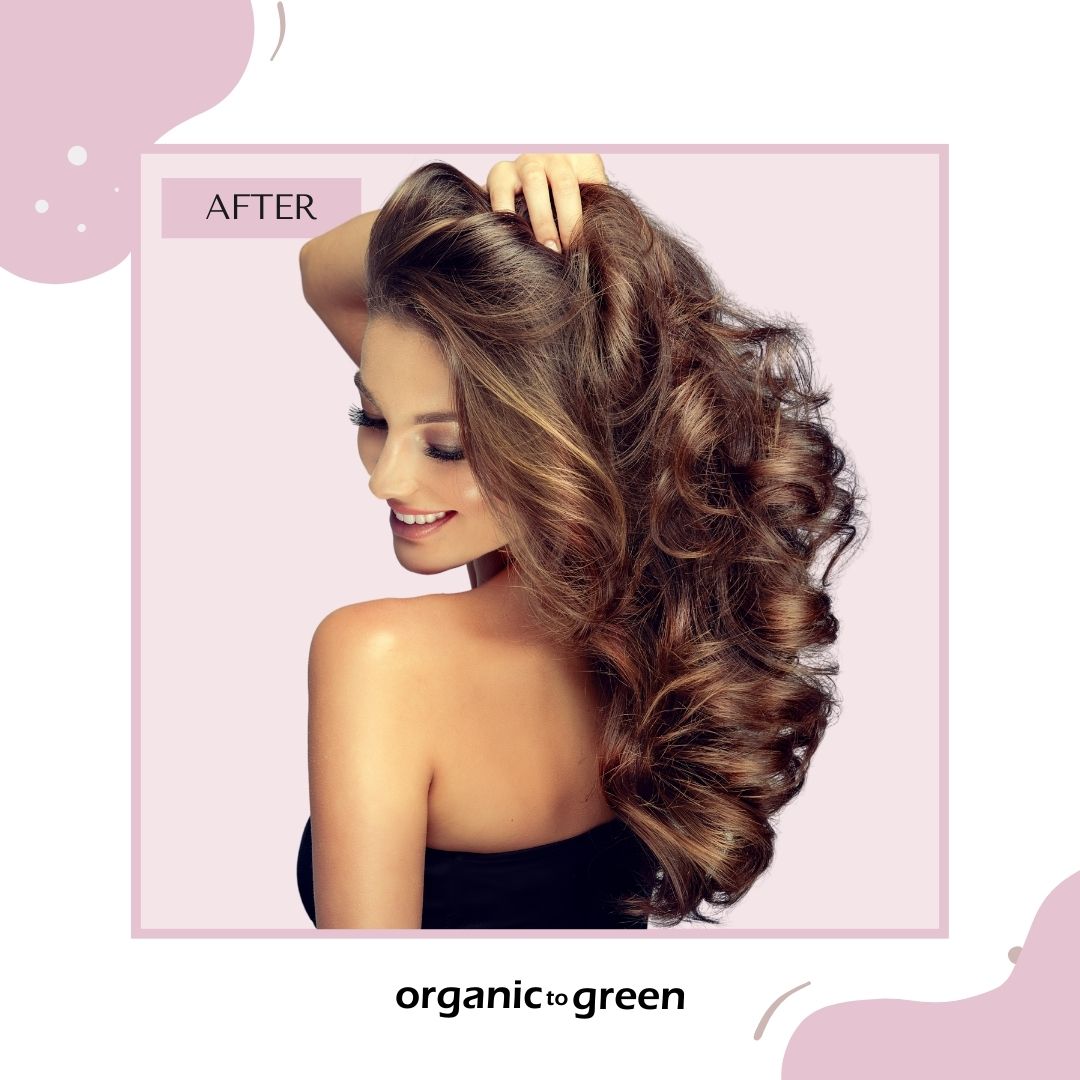 Heatless Blowout Set (3pc)