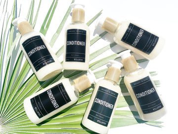 Conditioner - Wholesale Rain Collection - Case of 12
