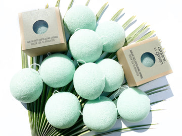 Konjac Face Exfoliating Sponge - Green Tea - Wholesale Case of 12