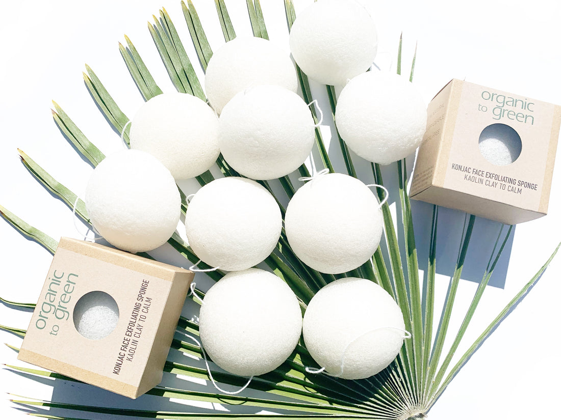Konjac Face Exfoliating Sponge - Kaolin Clay - Wholesale Case of 12