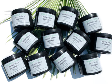 RAINFOREST Organic Coconut Oil Sugar Scrub - Wholesale Case of 12
