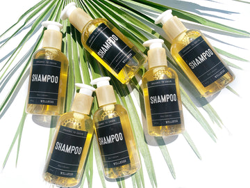 Shampoo - Wholesale Rain Collection - Box of 12