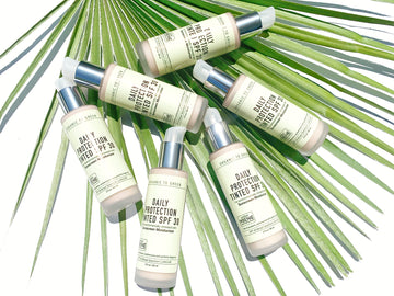 Daily Protection Tinted SPF30 Sunscreen Moisturizer - Wholesale Case of 12